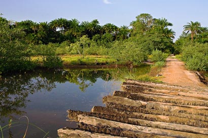 Unicité des paysages casamancais